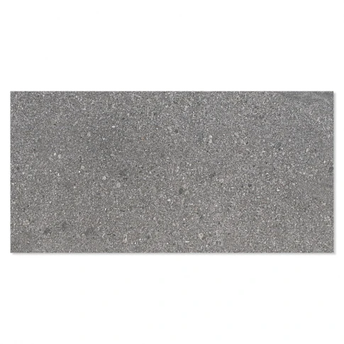 Klinker Stone Starlight Mörkgrå Matt 30x60 cm